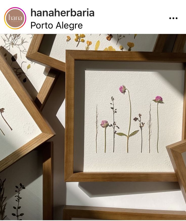 three framed pictures with flowers and leaves on them