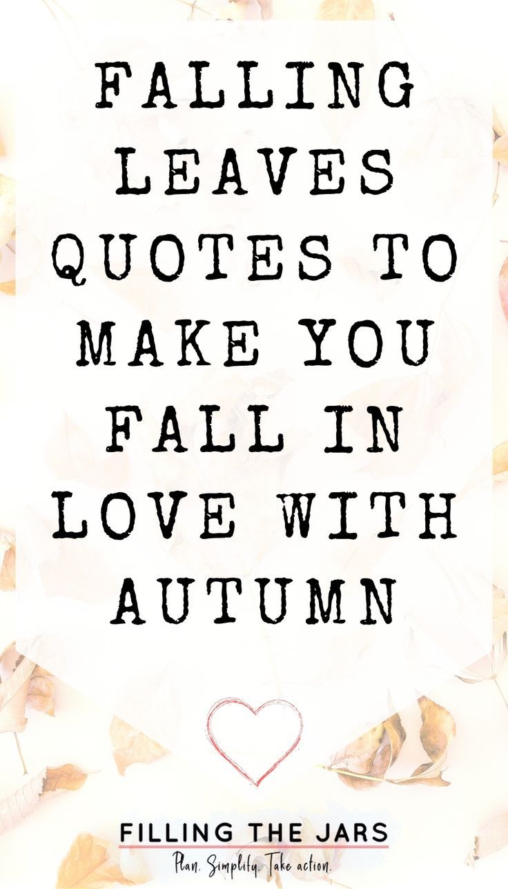 Text falling leaves quotes to make you fall in love with autumn on white background over faded background of scattered leaves. Cute Autumn Quotes, Quotes About Falling, Leaves Quotes, Beautiful Autumn Scenery, Slow Quotes, Fall Season Quotes, Autumn Quotes Inspirational, The Most Beautiful Quotes, Most Beautiful Quotes