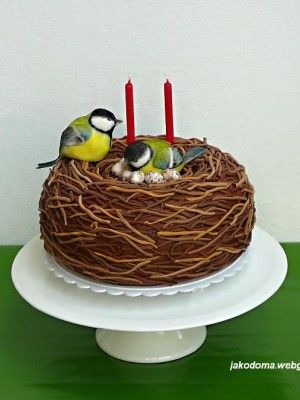 two birds sitting on top of a cake with candles in the shape of a bird's nest