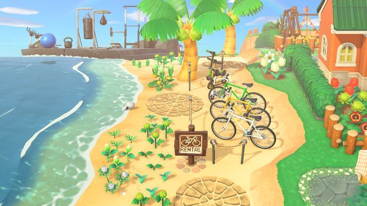 the beach is filled with lots of plants and bicycles