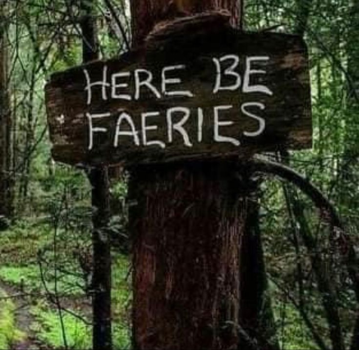 there is a sign that says here be faeries on the side of a tree