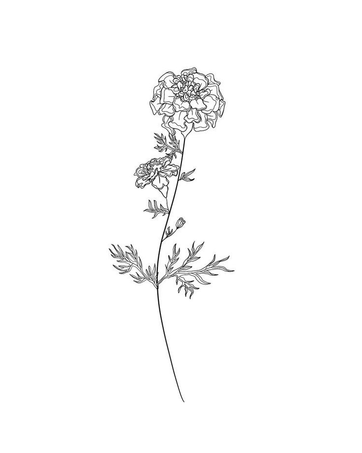 a black and white drawing of a flower