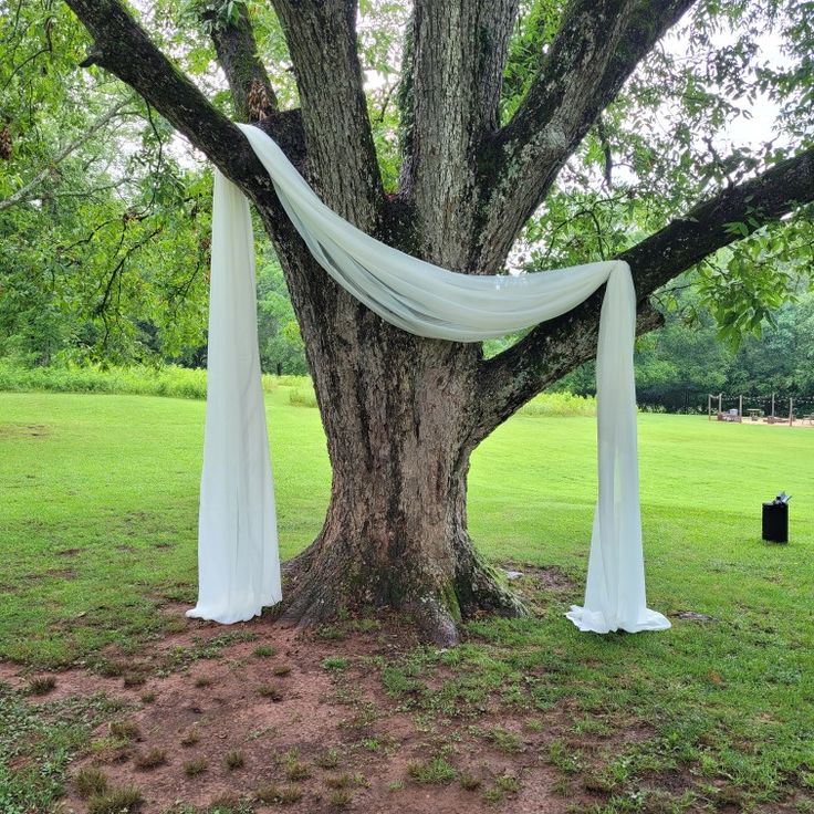 a tree with white drapes hanging from it's branches