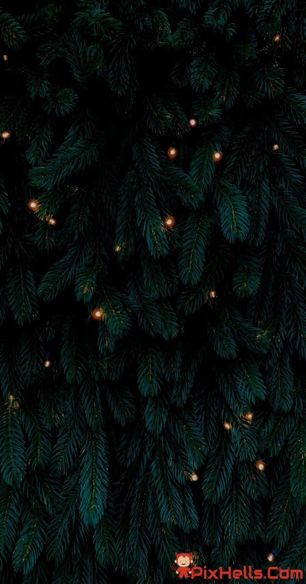 the top view of a christmas tree with lights on it's branches and green leaves