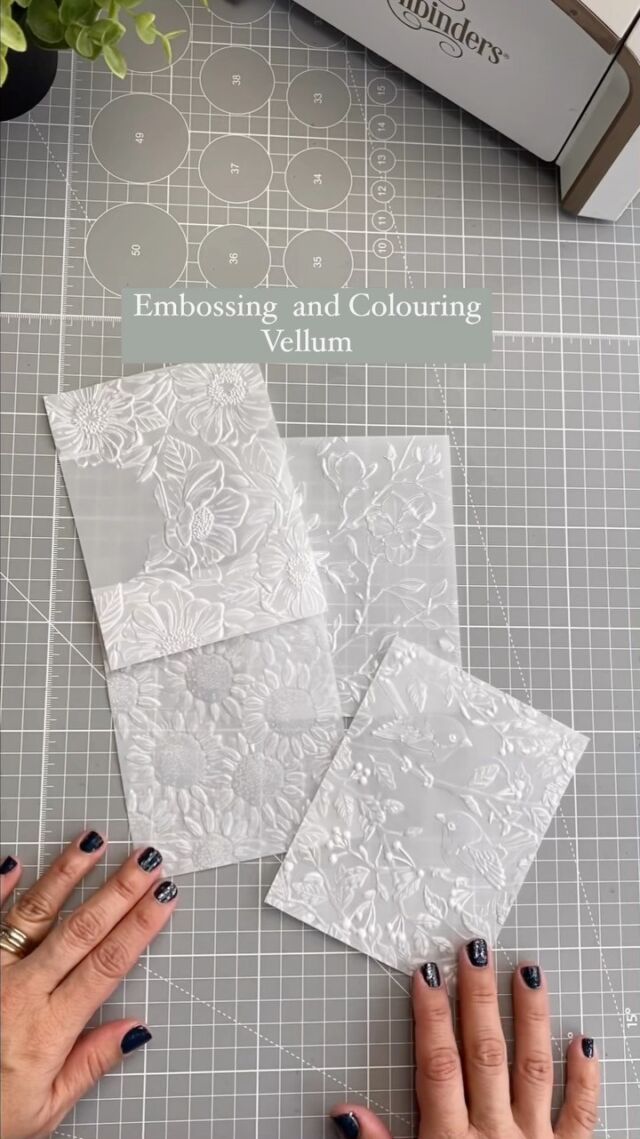 Embossing Folder Techniques Cardmaking, Embossing Vellum Paper, Dry Embossing Techniques, Vellum Cards Tutorials, Spellbinders 3d Embossing Folders, Velum Cards Ideas, Cricut Embossing Projects, Cards Made With Vellum, Embossing Folders Techniques