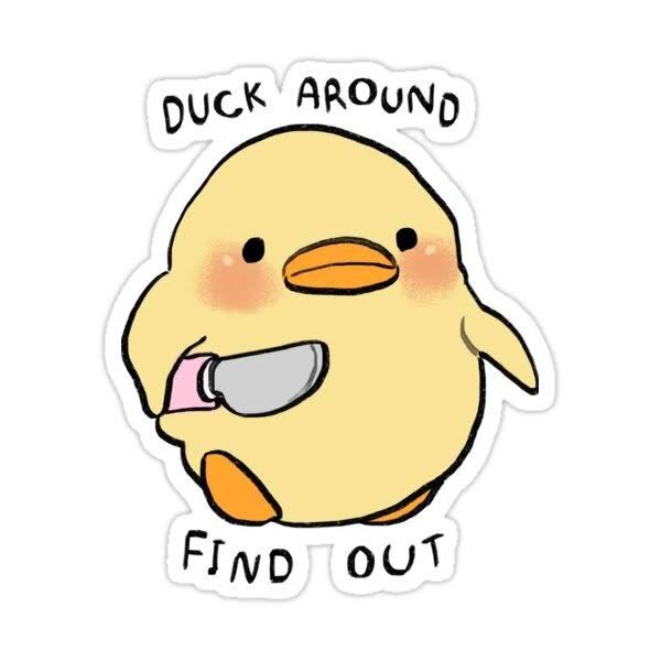 a sticker that says duck around find out with an image of a bird on it