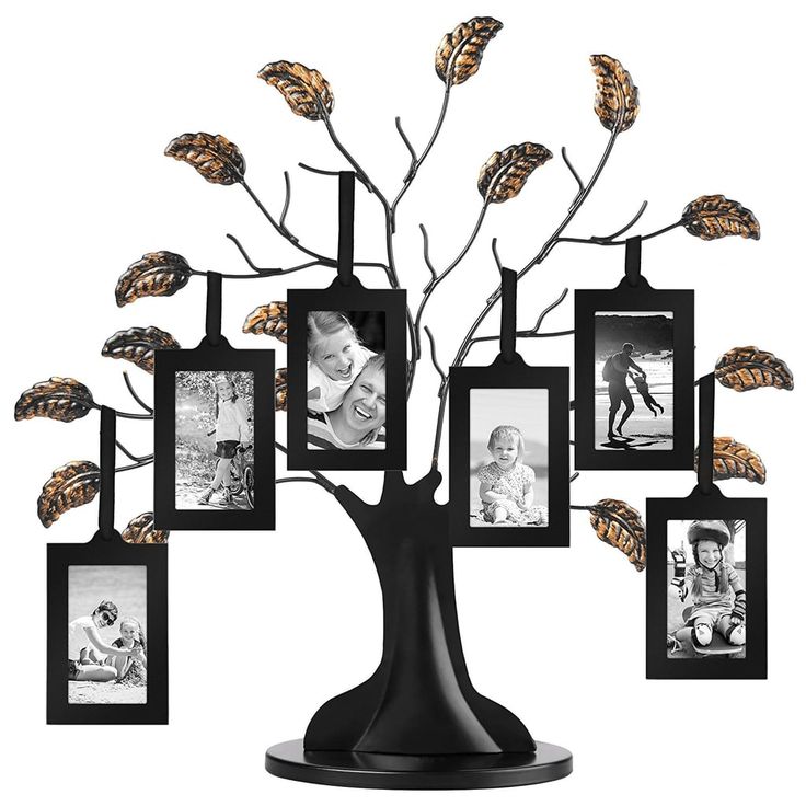 a family tree with six frames and leaves on it, in front of a white background