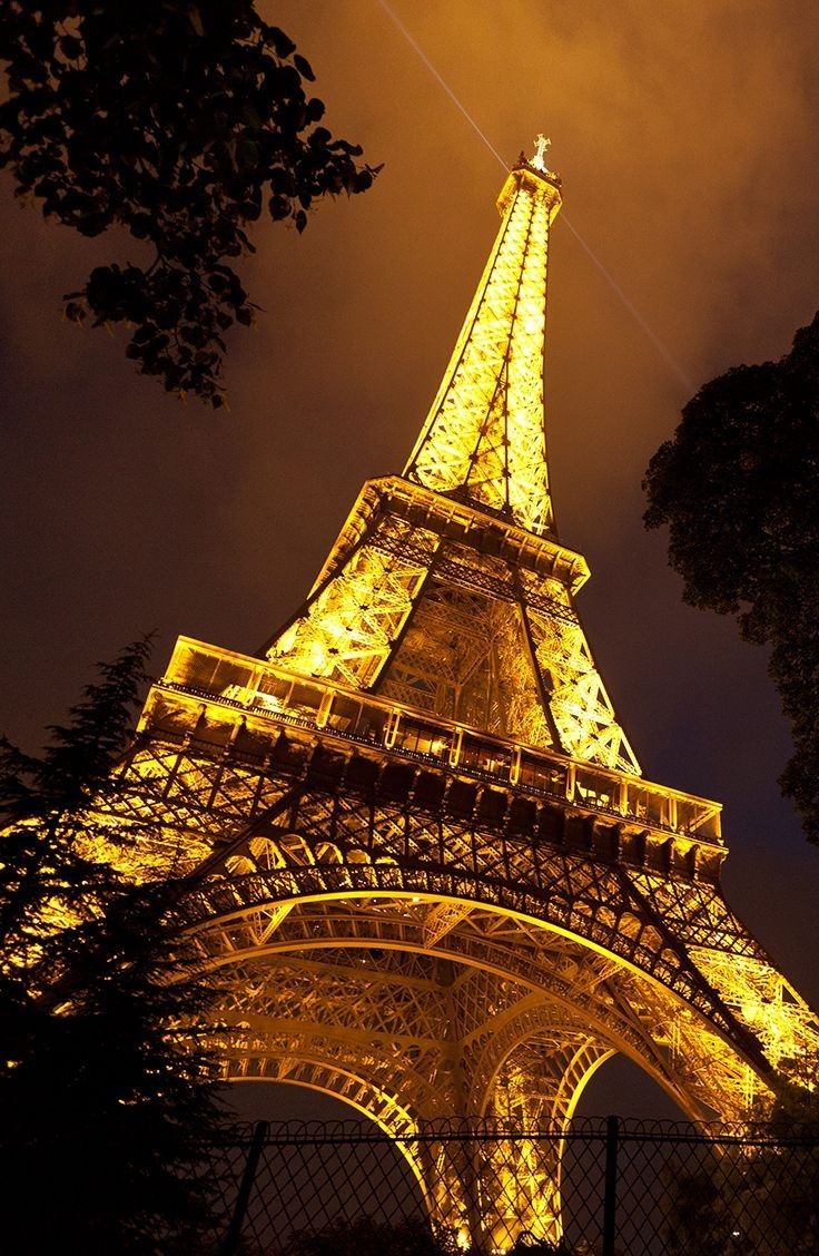 the eiffel tower lit up at night