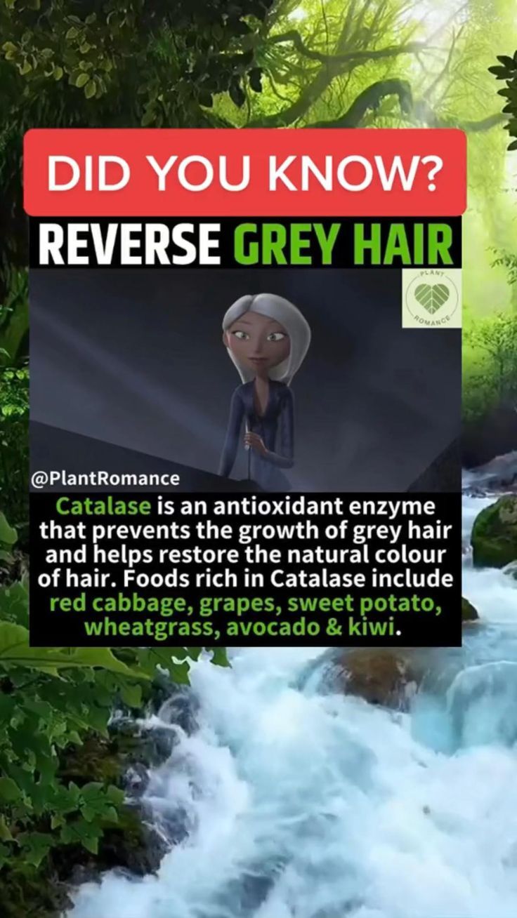 Did you know? - How to reverse grey hair! | anti-aging remedies in 2022 | Reverse gray hair, Hair care recipes, Health and beauty tips Gray Hair Natural, Grey Hair Home Remedies, Reverse Grey Hair, Reverse Gray Hair, Anti Aging Remedies, Home Remedies For Hair, Home Health Remedies, Healthy Hair Tips, Hair Remedies