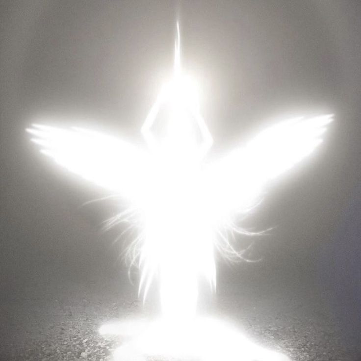 a person standing in the middle of a dark room with light shining through their wings