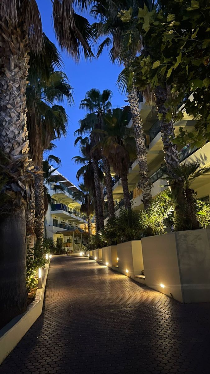 an empty street with palm trees and buildings in the background at night, lit up by lights on both sides