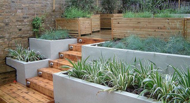 an outdoor garden with wooden steps and plants in the planters on either side of the stairs