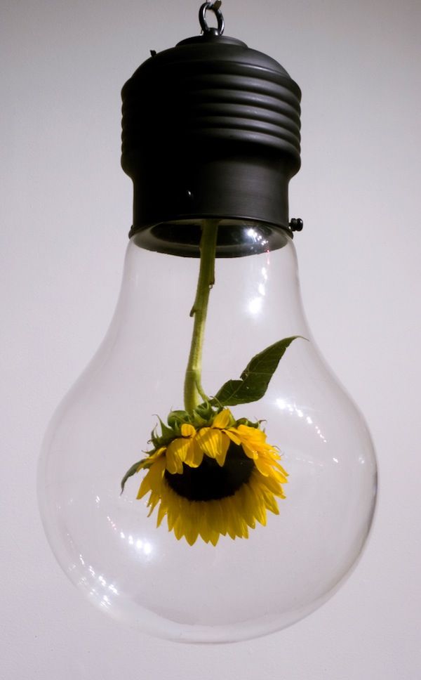 a light bulb with a sunflower in it