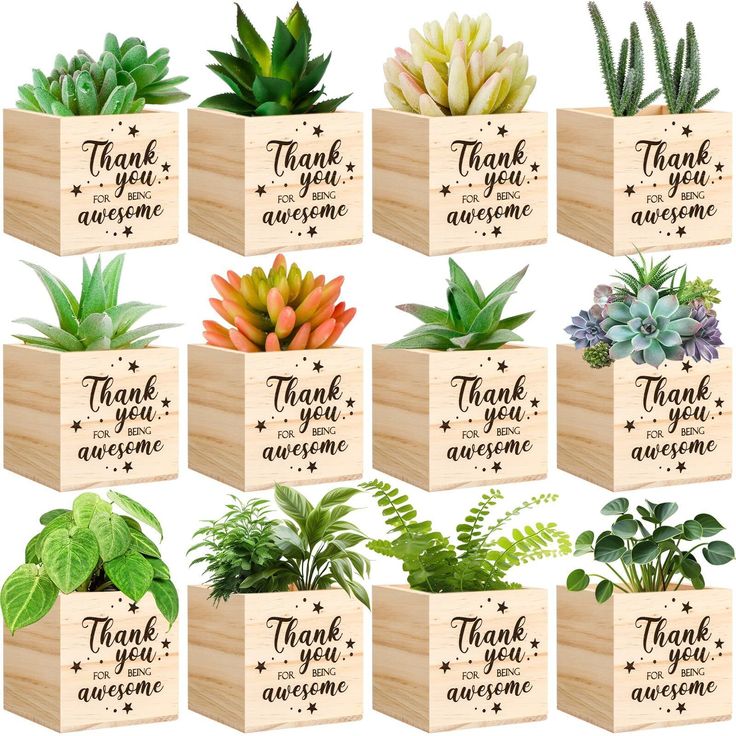 wooden boxes with different types of plants in them and the words thank you awesome written on them