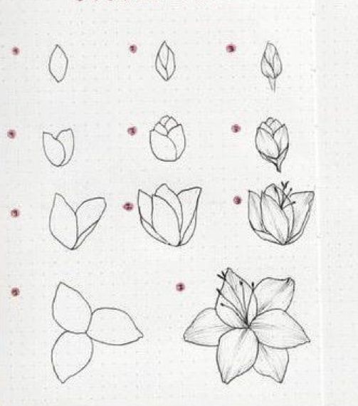 an open notebook with flowers and leaves drawn on it