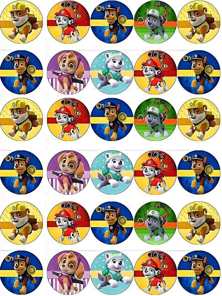 the paw patrol cupcake toppers are all in different colors and sizes, including one with