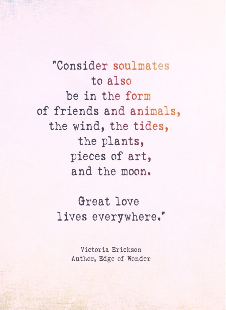 a quote from victoria ericson on the theme of'consider soulmates to also be in the form of friends and animals, the wind, the tides, the plants, pieces of art, and