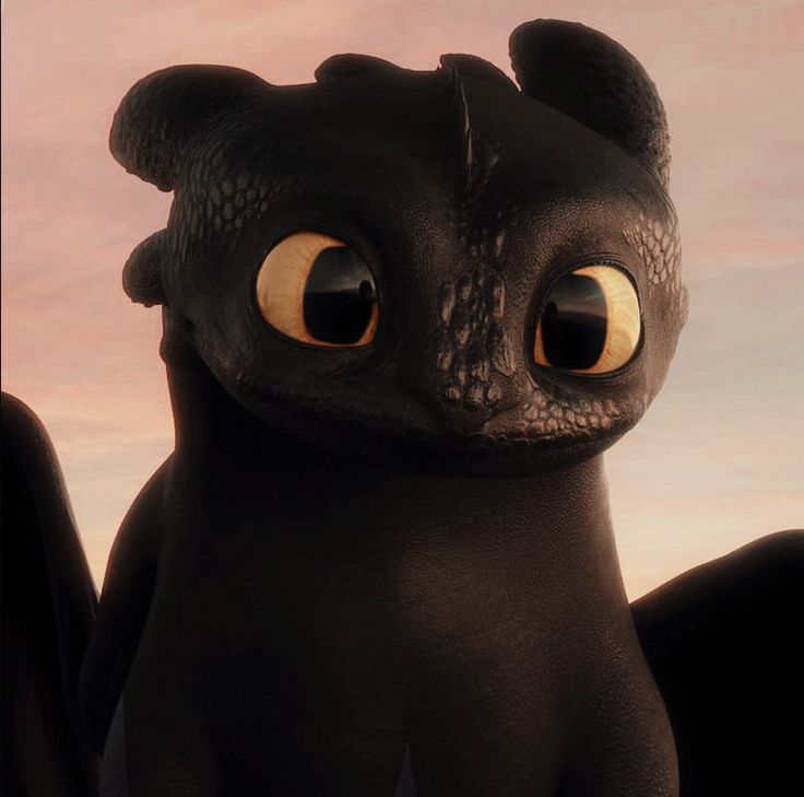 a close up of a black dragon with big eyes