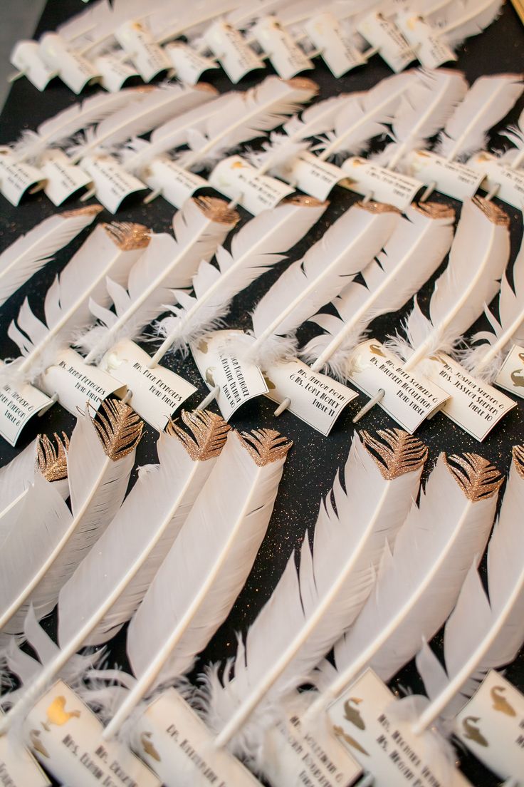 many white feathers with black and gold writing on them