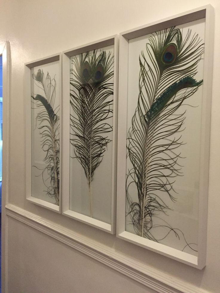 three framed art pieces with peacock feathers on them in a white walled room, along with a fireplace mantel