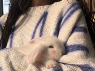 a woman holding a white rabbit wrapped in a blanket