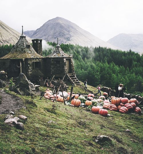 a group of people standing on top of a lush green hillside next to a building