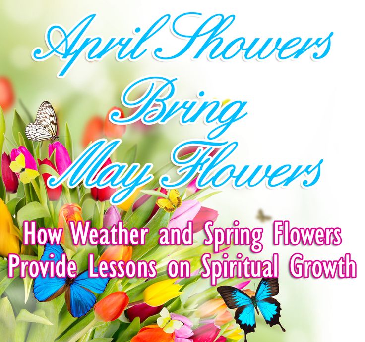 an image of spring flowers and butterflies with the words spring flowers mayflowers how weather and spring flowers provide lessons on spiral growth