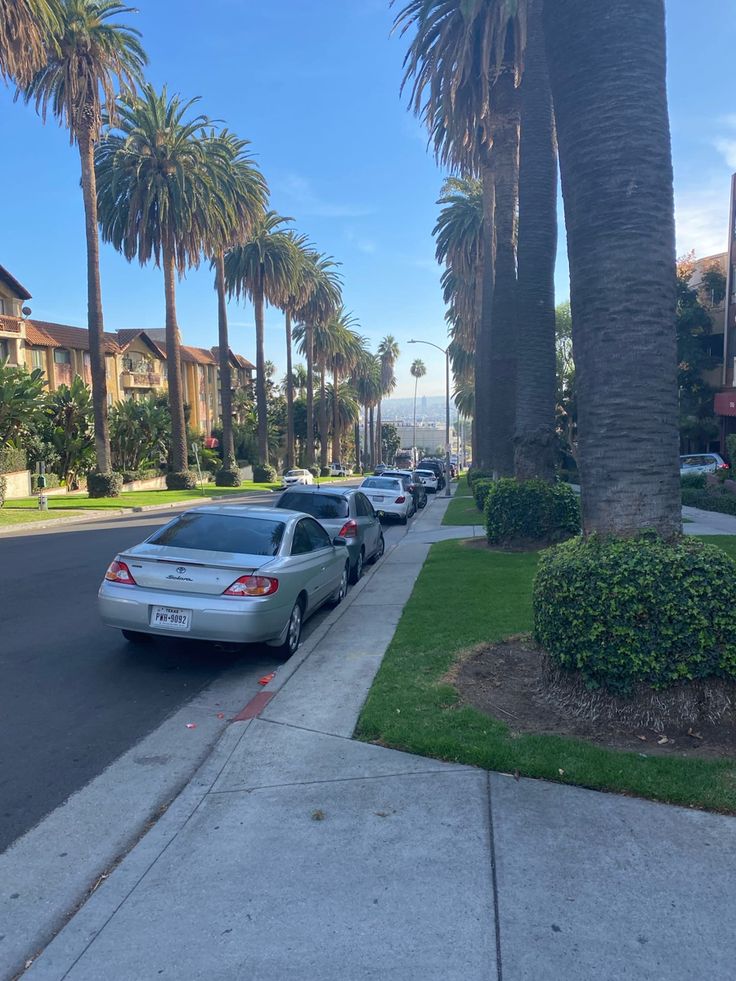 several cars parked on the side of a street next to palm trees