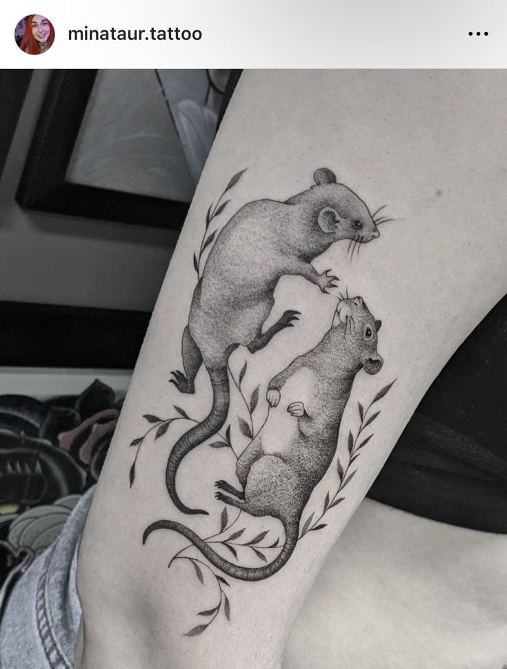 a couple of animals that are on the leg