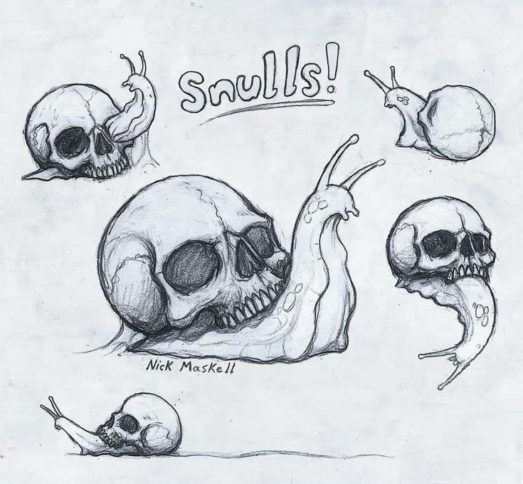 some skulls with different facial expressions and their names on them are shown in this drawing