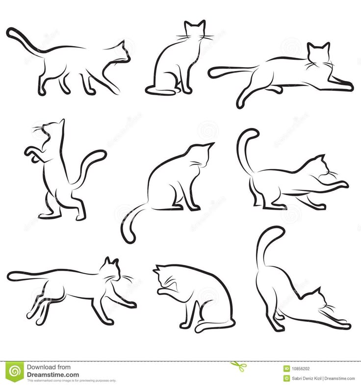 cat silhouettes on white background with black and white outline art, set of nine different cats