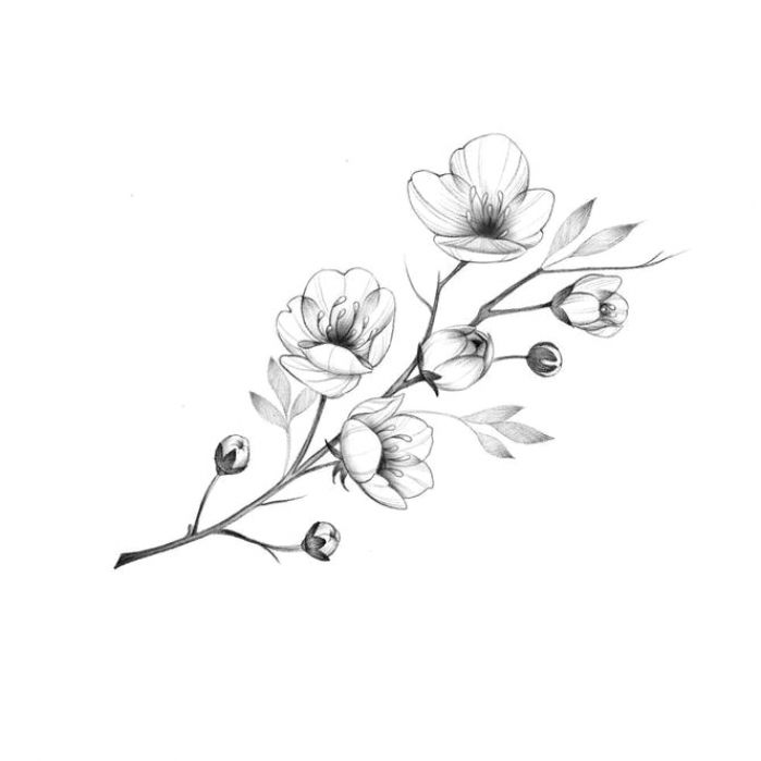 a black and white drawing of some flowers on a branch with buds in the middle