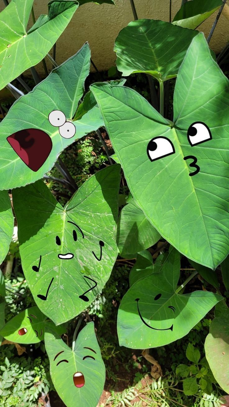 green leaves with faces drawn on them in front of a building and plants behind it