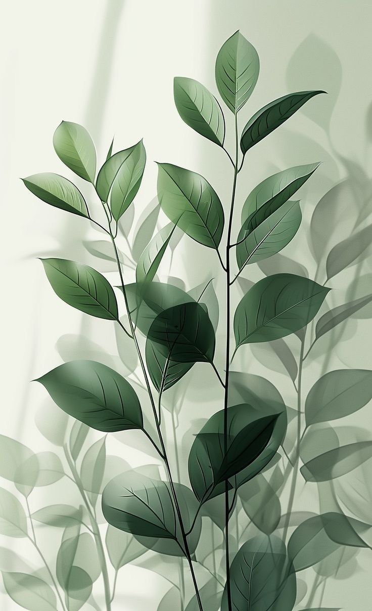 a plant with green leaves is shown on a white background