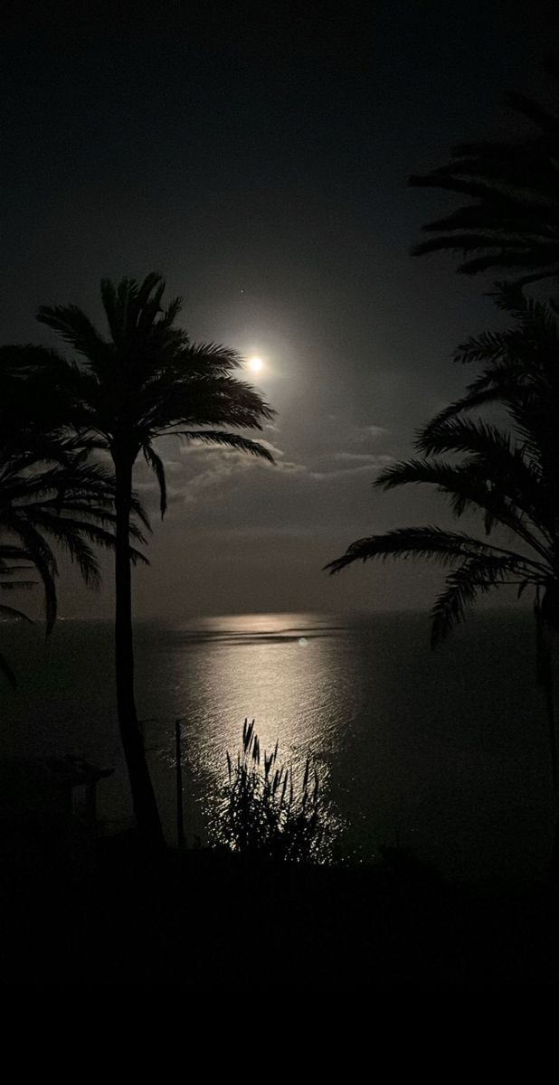 the moon is setting over the ocean with palm trees