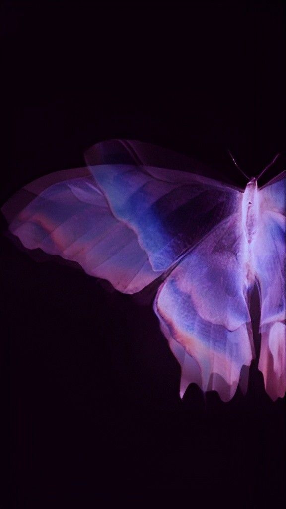 a purple and blue butterfly flying in the dark