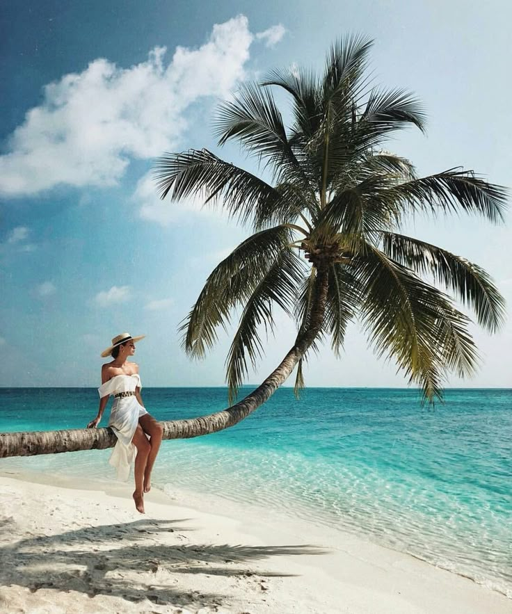 a woman is sitting on a palm tree at the beach