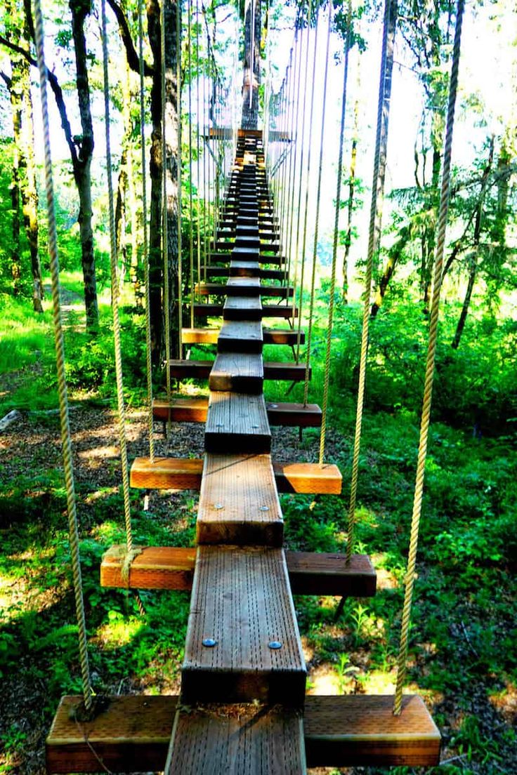 a wooden walkway in the middle of a forest with ropes hanging from it's sides