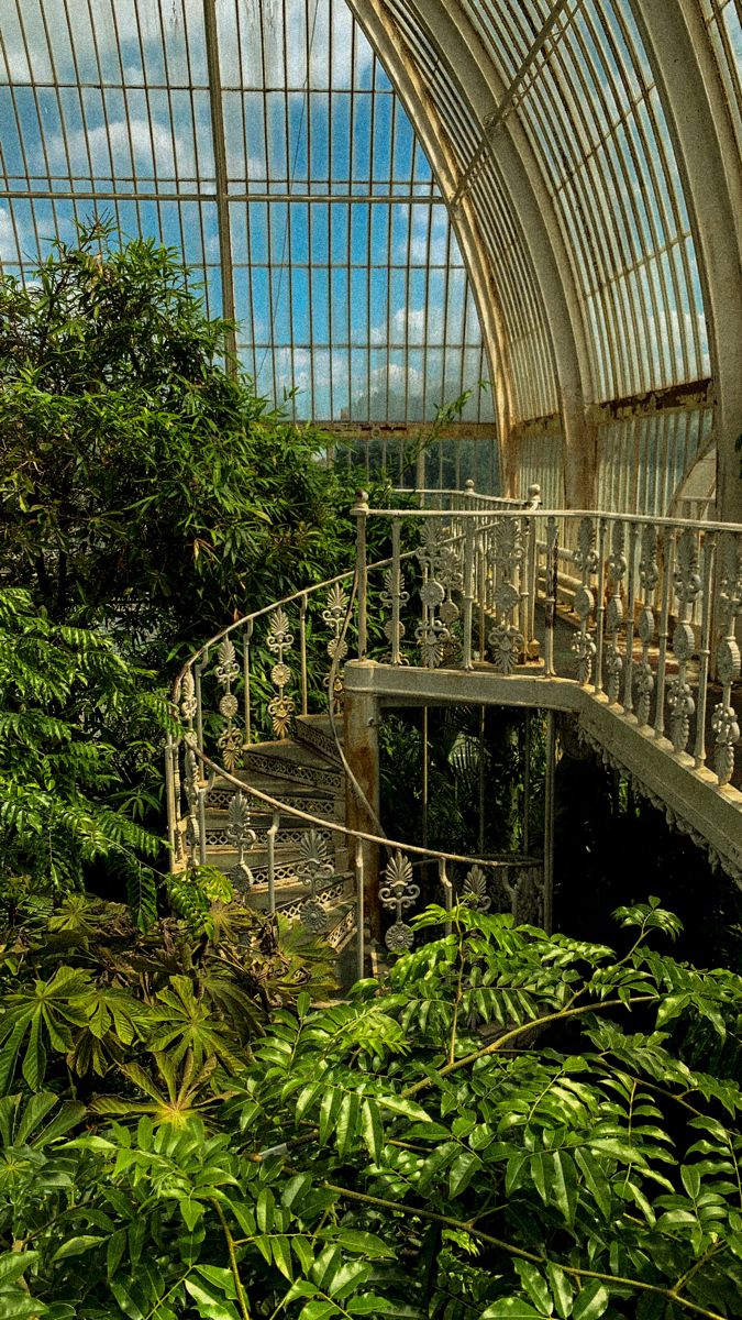 the inside of a building with lots of plants