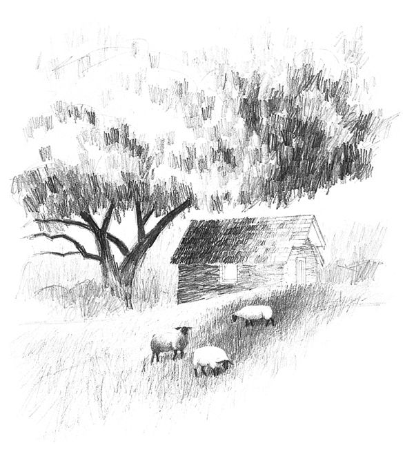 a pencil drawing of sheep grazing in front of a barn with trees on the other side