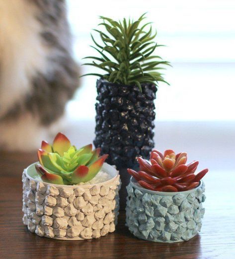 two small pots with plants in them on a table next to a gray and white cat