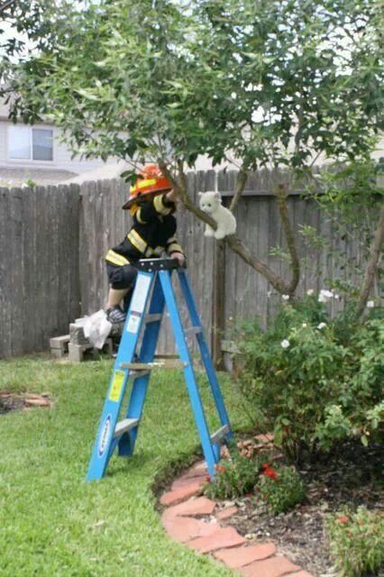 a fireman on a ladder in the yard