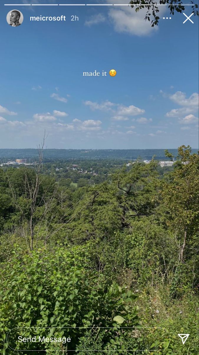 an image of the sky and trees taken from a hill top on a cell phone