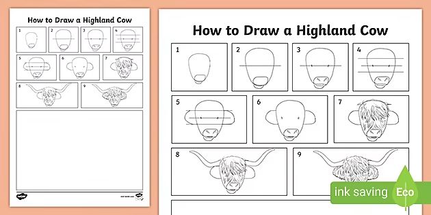 how to draw a highland cow with pictures and instructions on the front, side and back