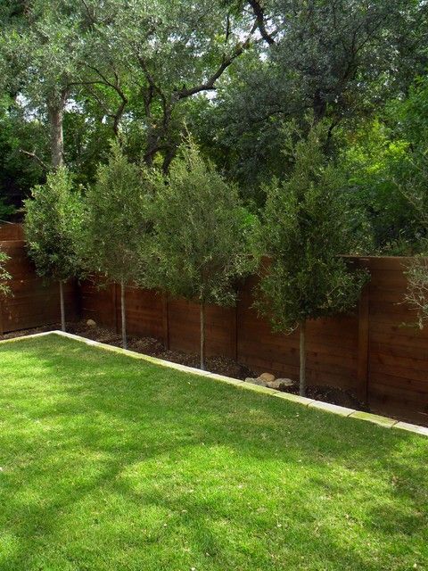 an empty backyard with grass and trees