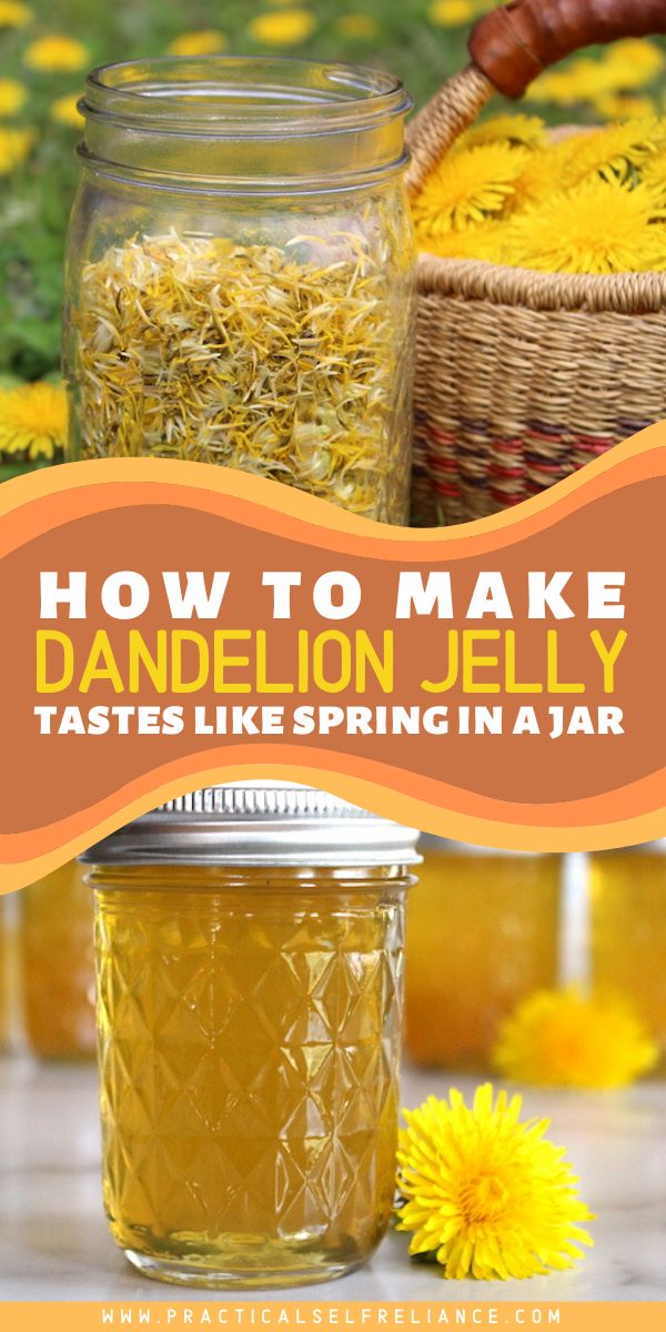 how to make dandelion jelly tastes like spring in a jar