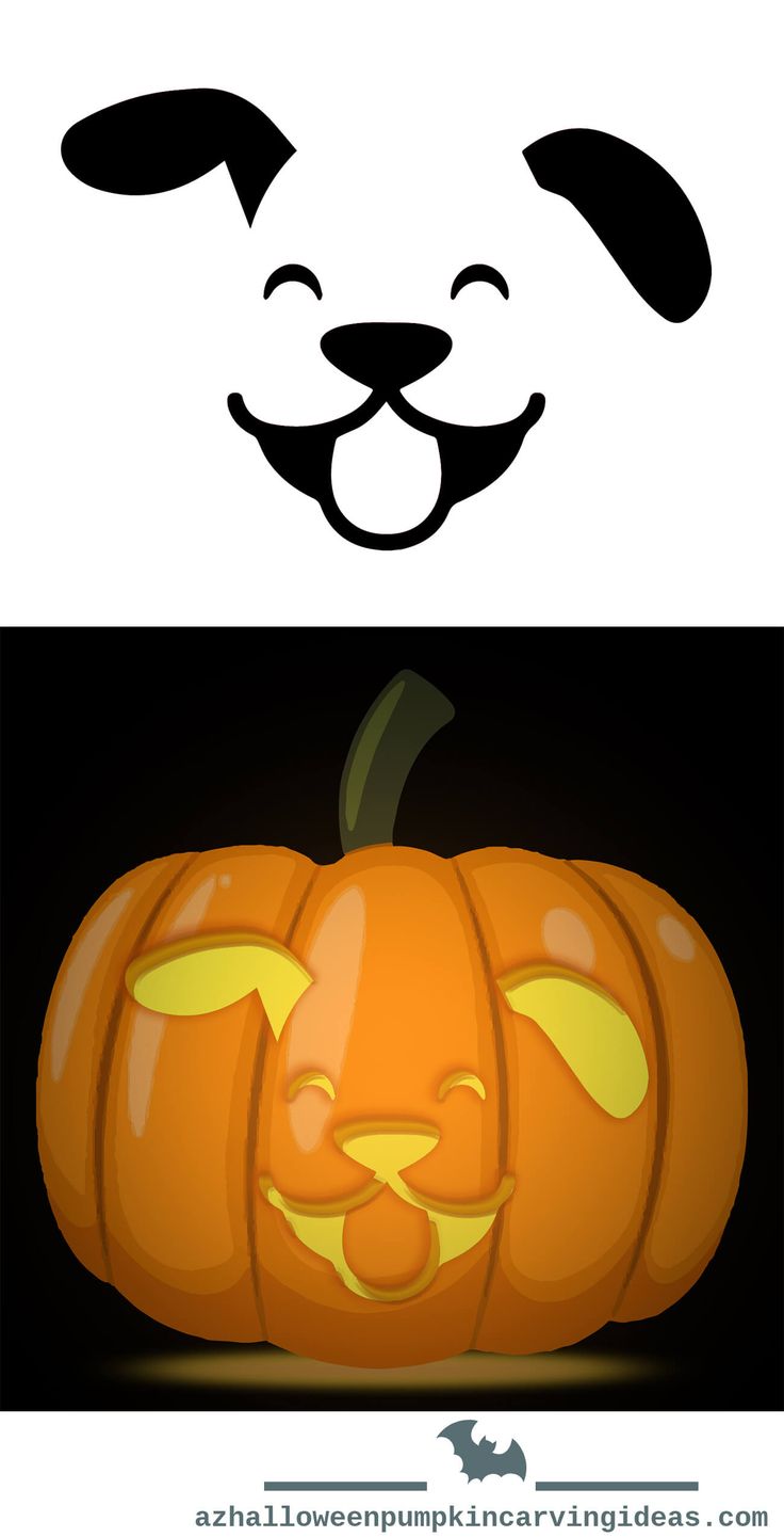 a dog's face is shown in the shape of a pumpkin