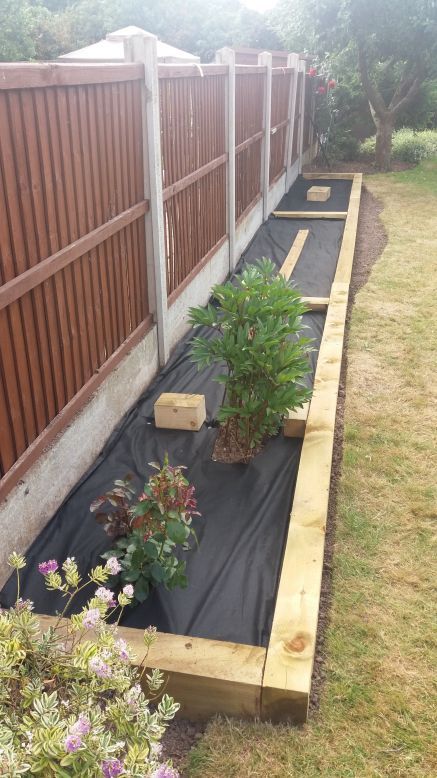 some plants are growing in the middle of a garden bed with black tarp on it