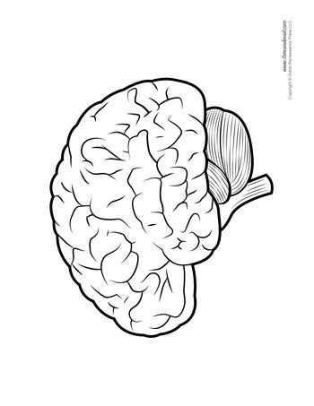 a black and white drawing of a human brain on a white background with the words, `