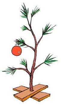 a drawing of a pine tree with an orange hanging from it's branch and two pieces of wood underneath